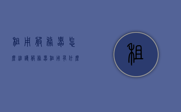 租用服务器怎么维护（服务器租用有什么用），服务器租用指南，维护与效用解析