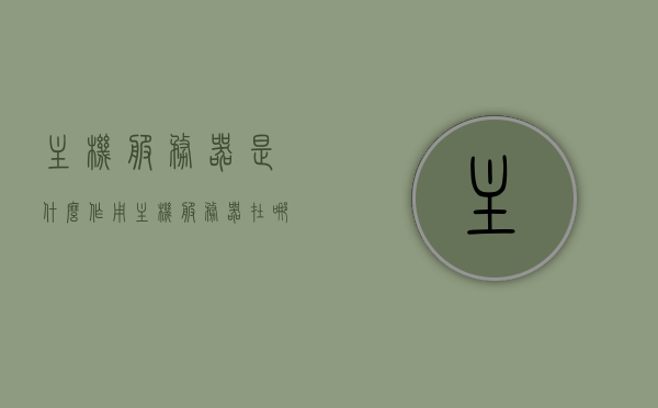 主机服务器是什么作用（主机服务器在哪里），主机服务器的功能与定位，解析主机服务器的作用及所在位置，解析主机服务器的功能与定位，作用及所在位置详解