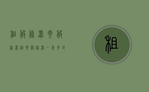 租服务器云服务器（租云服务器一年多少钱），云服务器租赁费用及价格详解，一年需要多少？，云服务器租赁费用详解，一年多少钱？关于租云服务器费用的全面解析。，全面解析，云服务器租赁费用及价格详解，一年租金究竟多少？，全面解析云服务器租赁费用，一年租金及价格详解