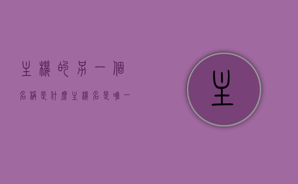 主机的另一个名称是什么（主机名是唯一的吗），主机名称及其唯一性问题探讨