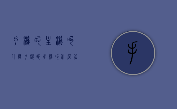 手机的主机叫什么（手机的主机叫什么名字），手机主机名称解析，主机到底叫什么？，手机主机名称解析，了解手机主机真正的名字