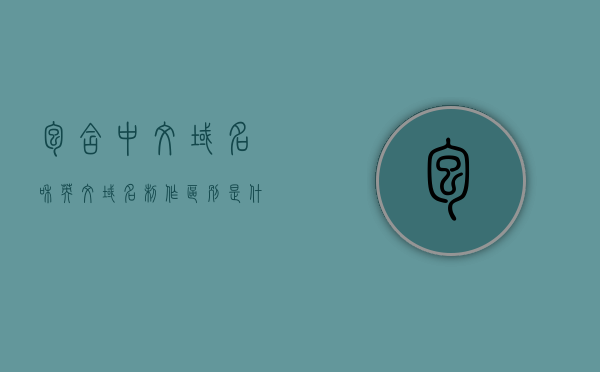 包含中文域名和英文域名制作区别是什么的词条，中文与英文域名制作的区别解析，域名制作要点及差异对比