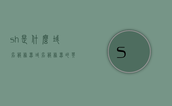 sh是什么域名服务器（域名服务器的英文缩写是），SH域名服务器及其英文缩写简介，SH域名服务器及其英文缩写简介，探究域名服务器的缩写与功能