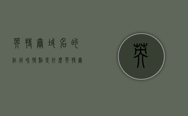 英特尔域名的作用和特点是什么（英特尔采用域名是因为什么），英特尔域名的作用与特点，为何选择域名的重要性解析，英特尔域名的作用与特点解析，为何选择域名的重要性及其背后的原因