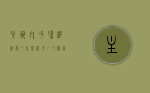 主机内存条铜条黑了怎么清理（内存条露铜），主机内存条铜条清洁指南，内存条露铜发黑如何处理？，主机内存条铜条清洁指南，处理露铜发黑的内存条清洁方法