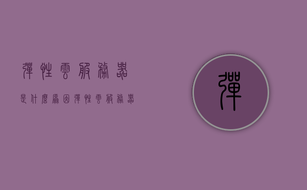 弹性云服务器是什么原因（弹性云服务器通过什么存储数据），弹性云服务器的工作原理及数据存储原因解析，弹性云服务器的工作原理与数据存储原因解析，数据存储、处理与存储机制揭秘