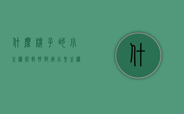 什么牌子的小主机比较好耐用（小型主机怎么样），优质小主机品牌推荐，耐用小型主机的选择与建议，优质小主机品牌推荐，耐用小型主机的选择与建议，品牌推荐及评价