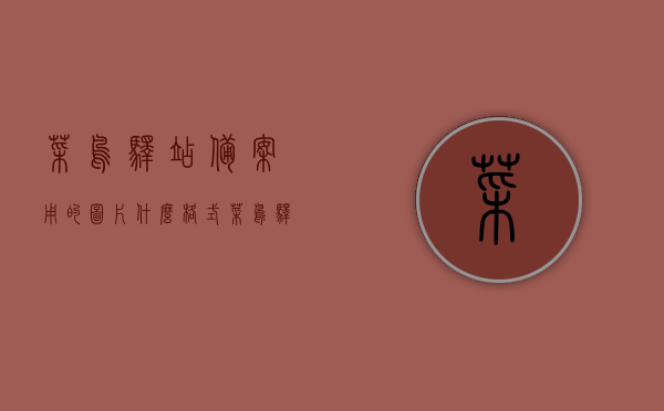 菜鸟驿站备案用的图片什么格式（菜鸟驿站备案证），菜鸟驿站备案图片格式要求及备案证解读，菜鸟驿站备案图片格式要求及解读，备案证图片格式指南