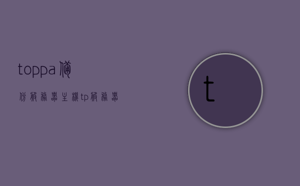 toppa备份服务器主机tp（服务器备份方案），Toppa备份服务器主机tp，高效可靠的服务器备份解决方案