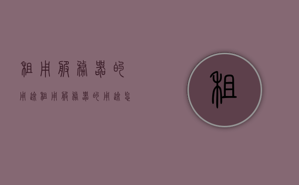 租用服务器的用途（租用服务器的用途怎么写），租用服务器的多种用途与优势解析，解析租用服务器的多种用途与优势，从业务需求到技术实现