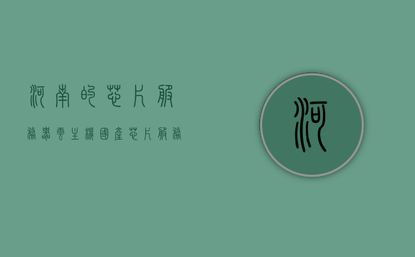 河南的芯片服务器云主机（国产芯片服务器），河南芯片服务器云主机，国产芯片引领新一代云计算风潮