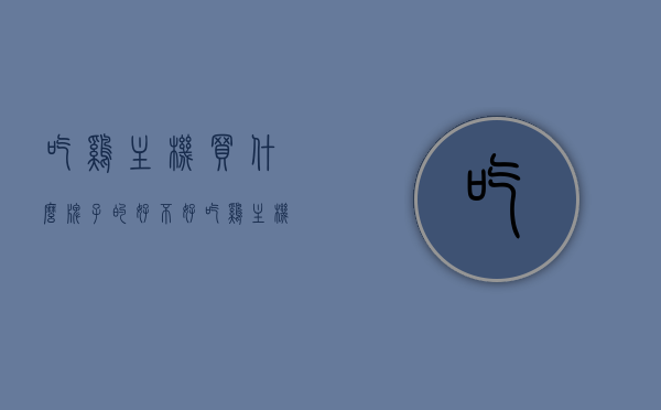 吃鸡主机买什么牌子的好不好（吃鸡主机哪个牌子的好），吃鸡主机品牌推荐，哪个牌子好？购买指南，吃鸡主机品牌推荐及购买指南，哪个牌子值得选？，吃鸡主机品牌推荐及购买指南，哪个牌子值得选？全方位解读主机性能与品质