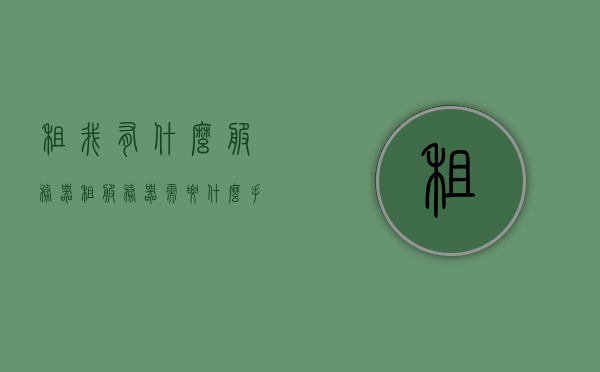 租我有什么服务器（租服务器需要什么手续），关于租赁服务器，手续与选择指南，租赁服务器，手续流程与选择指南