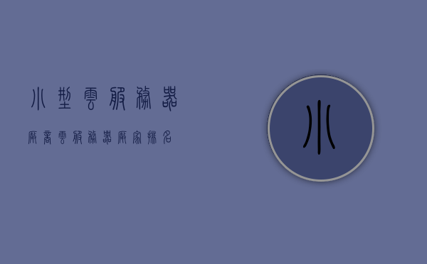 小型云服务器厂商（云服务器厂家排名），小型云服务器厂商排名概览，小型云服务器厂商排名概览，洞悉云服务器市场格局与实力排名