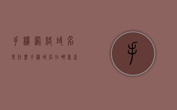 手机网络域名是什么（手机域名在哪里查看），手机网络域名解析及查看方法