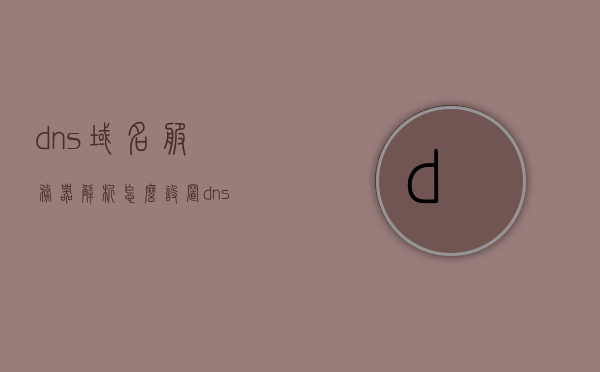 dns域名服务器解析怎么设置（dns域名解析服务器的功能），DNS域名服务器解析设置详解，功能及应用指南