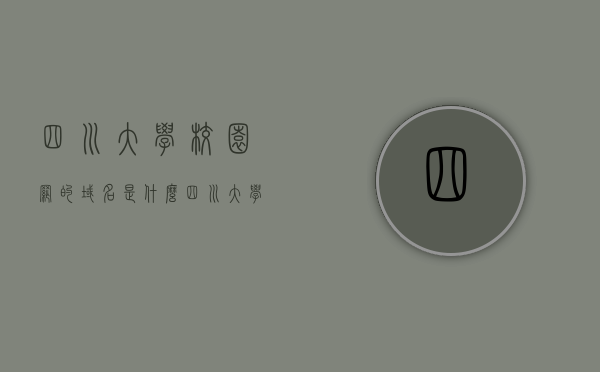四川大学校园网的域名是什么（四川大学校园网登录网站），四川大学校园网域名及登录网站指南，四川大学校园网域名与登录指南，域名解析及登录网站全攻略