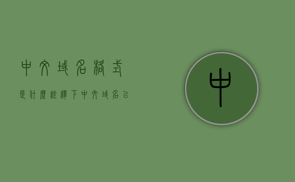 中文域名格式是什么（诠释下中文域名以及作用和价值），中文域名格式详解，定义、作用、价值及格式解析