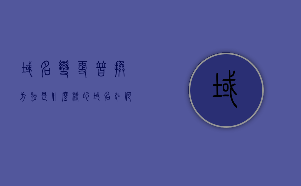 域名变更替换方法是什么样的（域名如何更换主体），域名变更替换方法详解，主体更换流程与步骤