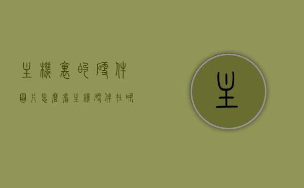 主机里的硬件图片怎么看（主机硬件在哪个位置），如何查看主机内部硬件图片及其位置指南，主机内部硬件图片及其位置指南，如何查看主机硬件及图片详解，主机内部硬件详解，如何查看硬件图片及其位置指南，如何查看主机内部硬件图片及位置指南，详解主机内部硬件与图片解析，全面解析，如何查看主机内部硬件图片及其位置指南