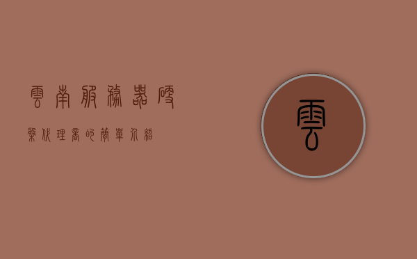 云南服务器硬盘代理商的简单介绍，云南服务器硬盘代理商概览