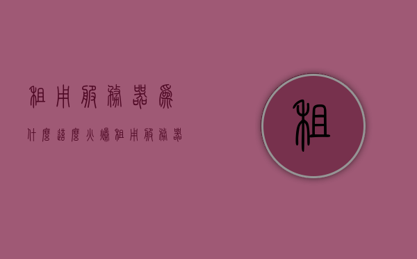 租用服务器为什么这么火爆（租用服务器怎么收费），租用服务器火爆原因及收费解析