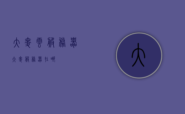 大麦云服务器（大麦服务器在哪），大麦云服务器详解，位置与服务概述