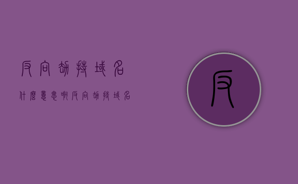 反向劫持域名什么意思啊（反向劫持域名什么意思啊），反向域名劫持的含义解析