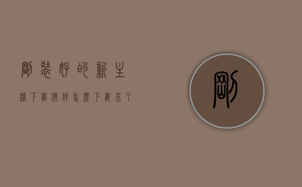刚装好的新主机下载软件怎么下载不了（新装的电脑下载不了软件），新装机无法下载软件，问题解析与解决方案，新装机下载软件故障解析与解决方案，解决新主机无法下载软件的问题