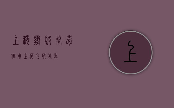上海鸡服务器租用（上海的服务器），上海服务器租用服务，专业提供鸡服务器及其他类型服务器解决方案，上海服务器租用服务，专业提供鸡服务器及其他类型服务器解决方案