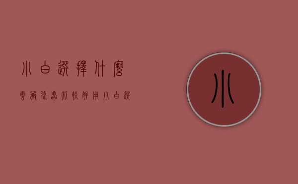 小白选择什么云服务器比较好用（小白选择什么云服务器比较好用一点），小白如何选择优质云服务器，实用推荐指南