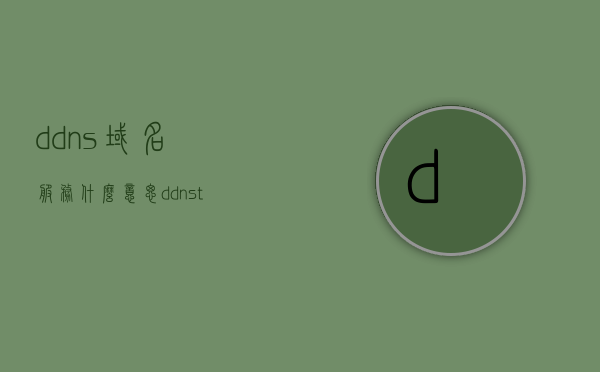 ddns域名服务什么意思（ddnsto域名），DDNS域名服务的含义解析
