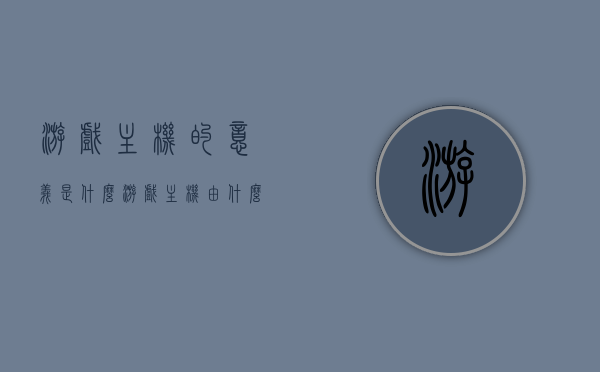 游戏主机的意义是什么（游戏主机由什么组成），游戏主机深度解析，意义、构造及功能探究