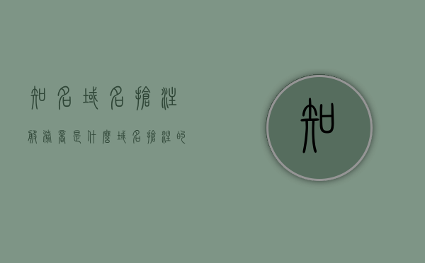 知名域名抢注服务商是什么（域名抢注的企业著名案例），知名域名抢注服务商解析及企业著名案例分享