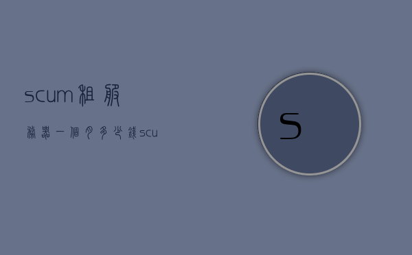 scum租服务器一个月多少钱（scum服务器多久刷新一次），关于SCUM租服务器费用及刷新频率的探讨，一个月多少钱？多久刷新一次？