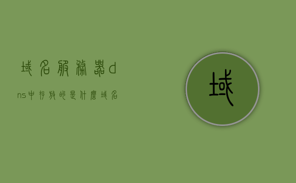 域名服务器dns中存放的是什么（域名服务器中dns中存放什么），域名服务器DNS中存放的是什么，域名解析数据的详细解析与存储内容探讨，域名服务器DNS中的解析数据详细解析与存储内容探讨，存放的是什么？