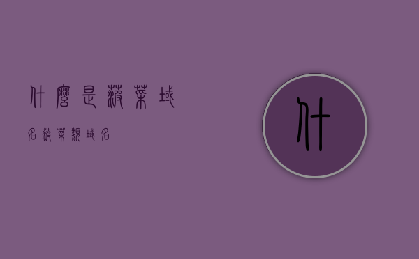 什么是菠菜域名（菠菜类域名），菠菜域名的定义与解析，菠菜域名的定义与解析，深入了解菠菜类域名的概念及解析过程，深入了解，菠菜域名的概念解析与应用解析过程解析