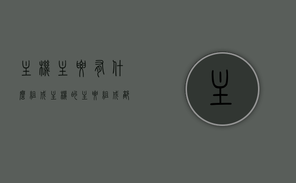 主机主要有什么组成（主机的主要组成部分是什么），主机的主要组成部分及其构成解析，主机的主要组成部分及其详细构成解析，主机的主要组成部分详解，构成与解析