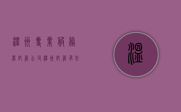 温州专业服务器托管公司（温州托管有什么品牌），温州专业服务器托管公司探秘，品牌与服务质量一览，温州专业服务器托管公司品牌探秘，服务质量一览与品牌深度解析