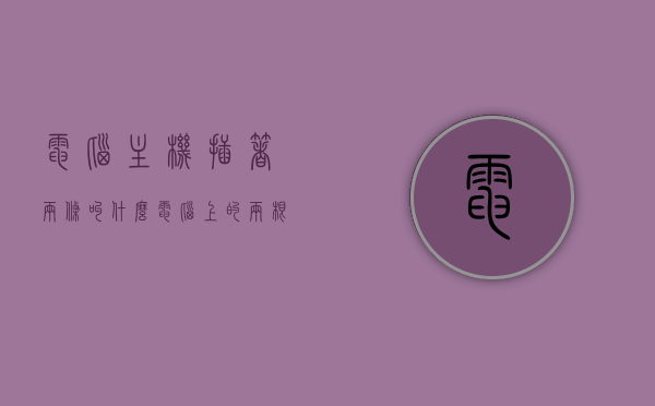 电脑主机插着两条叫什么（电脑上的两根线应该插到主机的哪?），电脑主机中的两根线，插接与识别指南