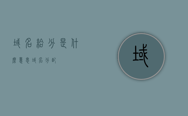 域名给分是什么意思（域名分配），域名分配解析，什么是域名给分？