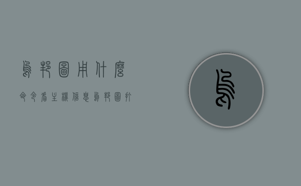 乌邦图用什么命令看主机信息（乌邦图打开命令行），乌邦图主机信息查询命令及命令行操作指南，乌邦图主机信息查询命令及操作指南，查看主机信息的命令行指南