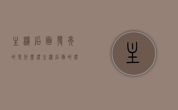 主机后面发亮的是什么灯（主机后面的灯都不亮怎么回事），主机后面灯光解析，发亮的是哪种灯？灯不亮的原因探讨，主机背后的灯光解析，发亮的是哪种灯？灯不亮的原因探讨，主机背后灯光解析，发亮灯种类与不亮原因探讨，主机背后的灯光解析，发亮灯种类与不亮原因深度探讨，主机背后灯光解析，发亮灯种类与不亮原因的深度探讨