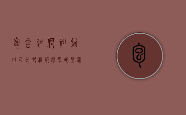 包含如何知道自己是哪个服务器的主机号的词条，如何确定自己所在服务器的主机号？，如何确定自己所在服务器的主机号？详细步骤解析！，如何确定自己所在服务器的主机号，详细步骤解析与识别方法指南，如何确定自己所在服务器的主机号，详细步骤解析与识别方法指南