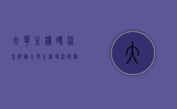 大华主机码流怎么调（大华主机码流设置），大华主机码流调整与设置指南，大华主机码流调整与设置指南，详细教程助你轻松搞定！，大华主机码流调整与设置详解，轻松上手，一步到位！