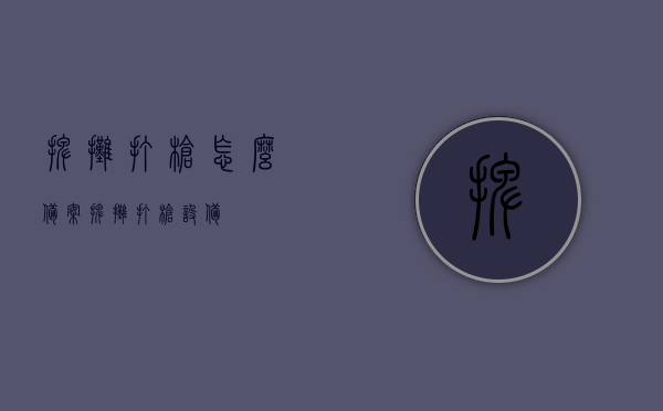摆摊打枪怎么备案（摆摊打枪设备），摆摊打枪设备备案流程与指南，摆摊打枪设备备案流程，指南与注意事项