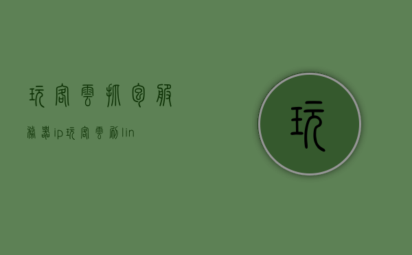 玩客云抓包服务器ip（玩客云刷linux做服务器），玩客云抓包服务器IP详解，玩转Linux系统部署与服务器搭建攻略