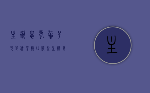 主机里有带子的是什么接口类型（主机里面有usb接口吗），主机接口解析，带子接口与USB接口类型介绍