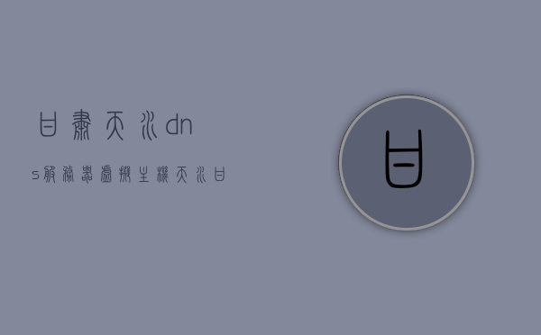甘肃天水dns服务器虚拟主机（天水 甘肃），甘肃天水DNS服务器虚拟主机解析与部署指南