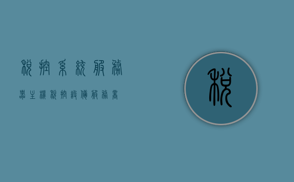 税控系统服务器主机（税控设备服务商），税控系统服务器主机，专业税控设备服务商的核心服务产品概述，税控系统服务器主机，专业税控设备服务商的核心产品概述